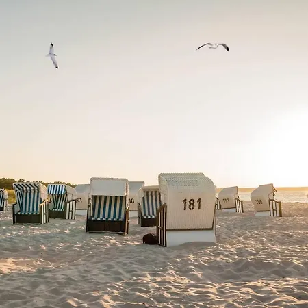 White Pearl 2.04 דירה